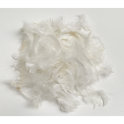 Intérieur coussin plumes 40x60 cm premium