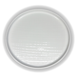 Assiette plate GenWare BS4034 relief quadrillage  vue dessus