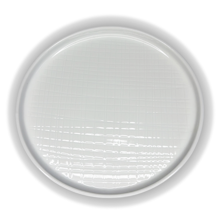 Assiette plate GenWare BS4034 relief quadrillage  vue dessus
